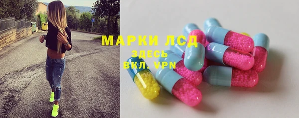 прущие грибы Костерёво